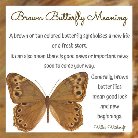 brown butterfly meaning in the bible|butterfly signs in the bible.